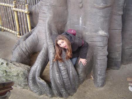 disney