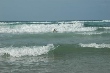 sénégale